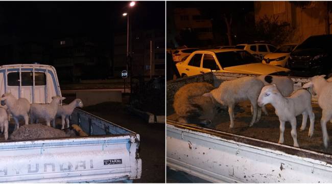 ALİAĞA'DA VATANDAŞI GASP EDEN ÇETE BERGAMA'DA YAKALANDI