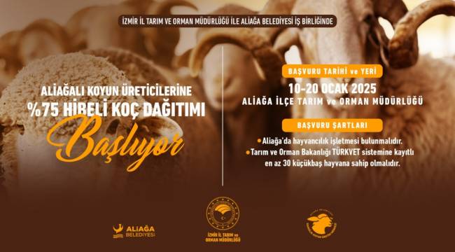 ALİAĞALI KOYUN ÜRETİCİLERİNE YÜZDE 75 HİBELİ KOÇ DAĞITIMI BAŞLIYOR